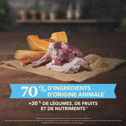 null - Product thumbnail 3.0